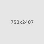 37_Add_New_Article